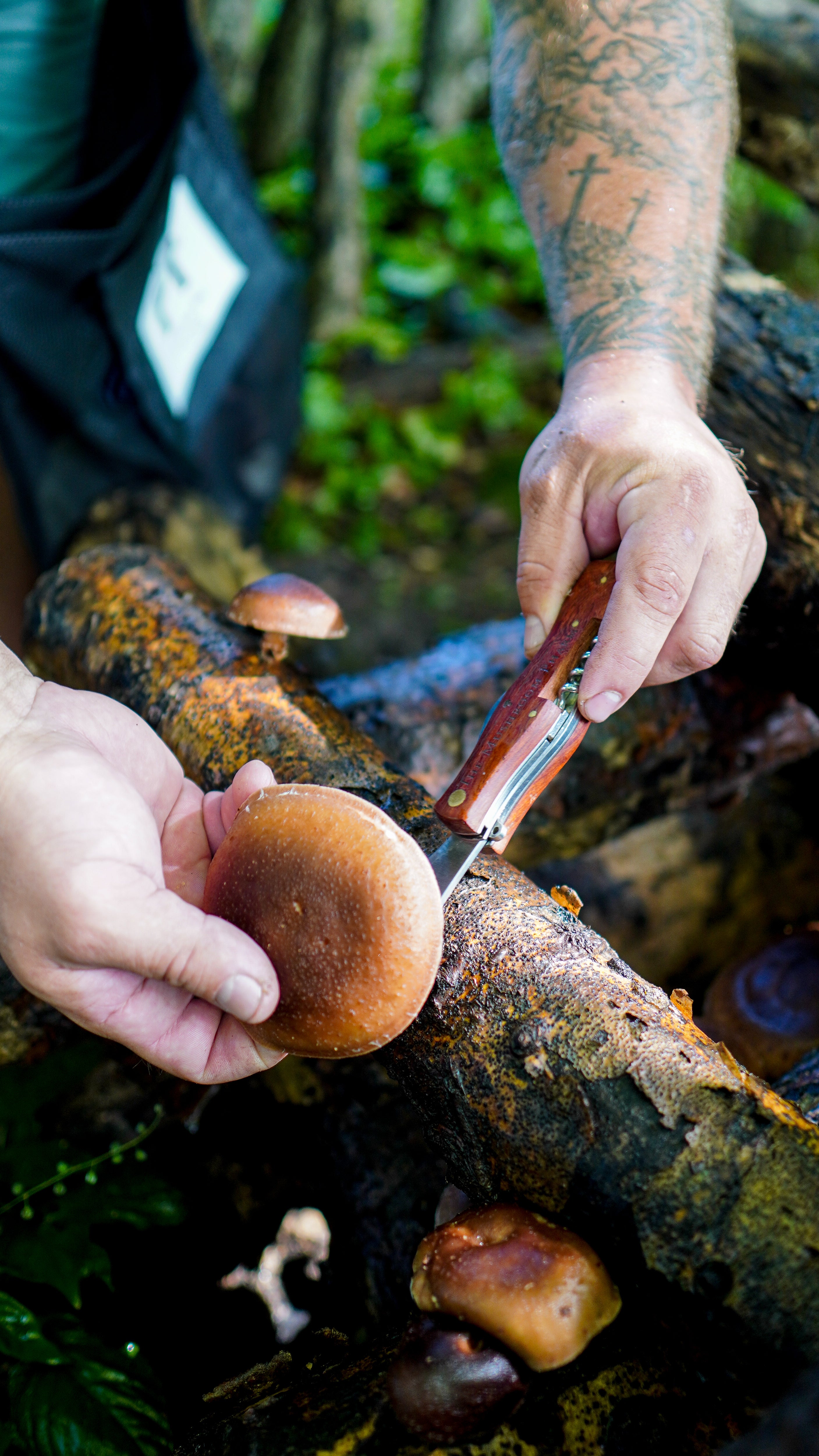 Wooden Mushroom Knife, Mushroom Brush, Foraging Tools, Forage